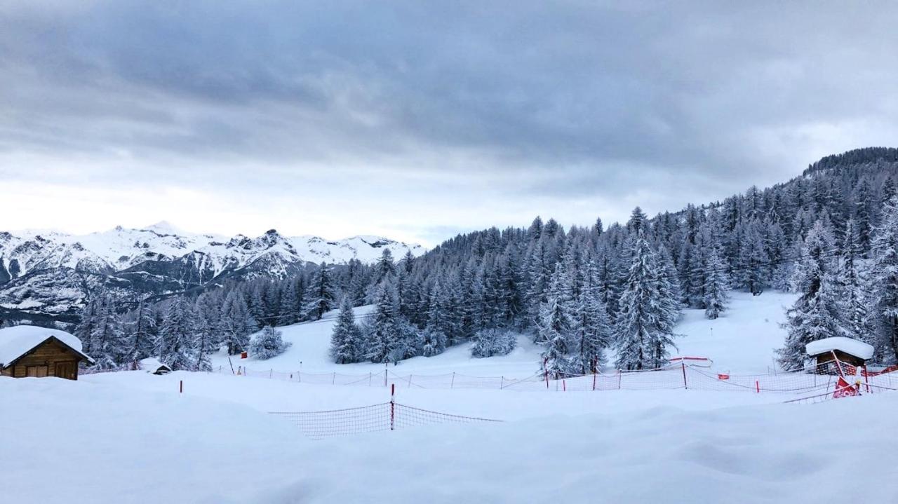 Les Chalets Du Parc Aux Etoiles - Cimes Et Neige Daire Puy-Saint-Vincent Dış mekan fotoğraf